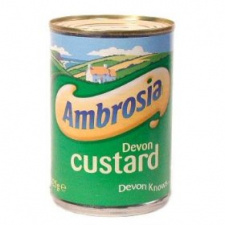 Ambrosia: Devon Custard (400 g tin)